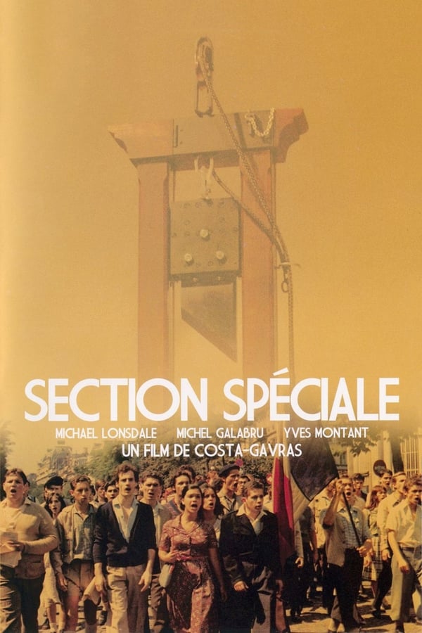 Cover of the movie Special Section