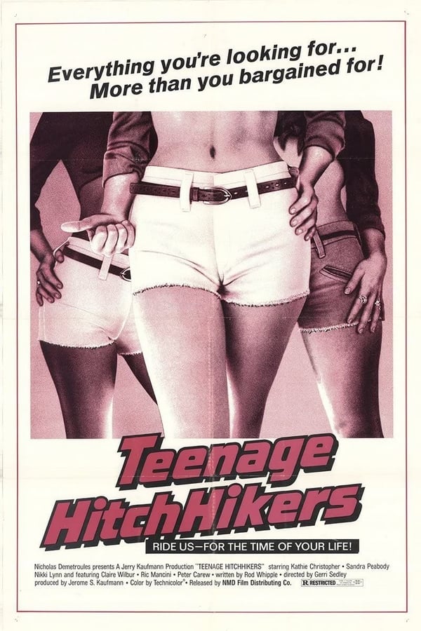 Cover of the movie Teenage Hitchhikers