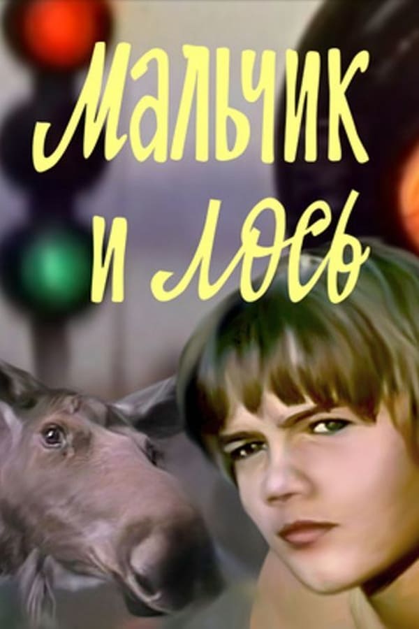 Cover of the movie The Boy and the Moose