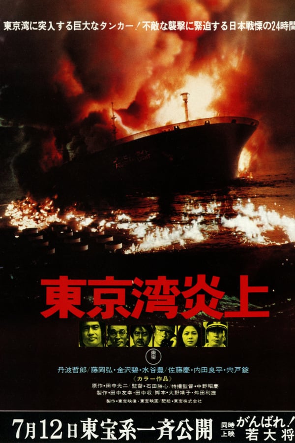 Cover of the movie The Explosion