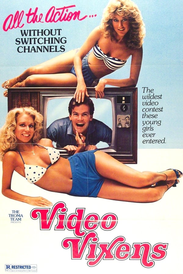 Cover of the movie Video Vixens