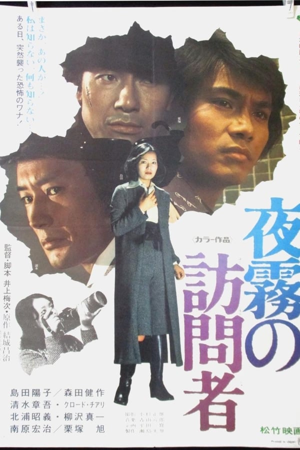 Cover of the movie Visitor After Dark