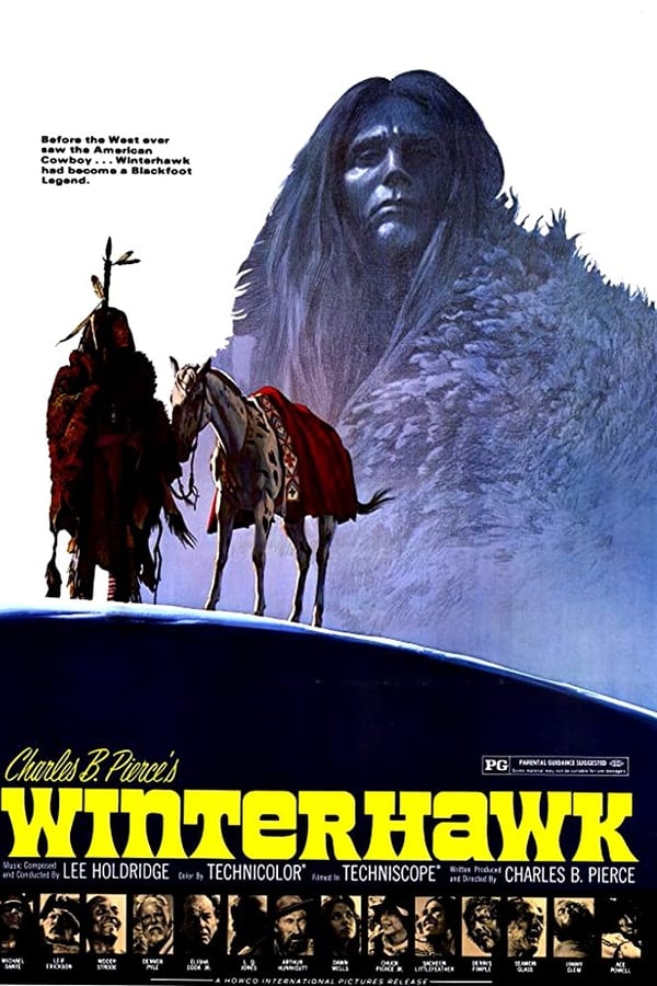 Cover of the movie Winterhawk