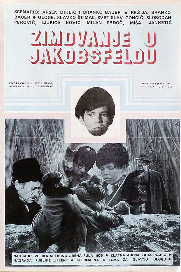 Cover of the movie Wintering in Jakobsfeld