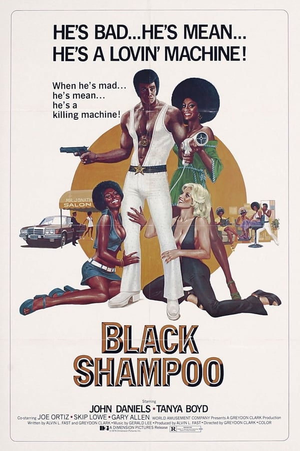 Cover of the movie Black Shampoo