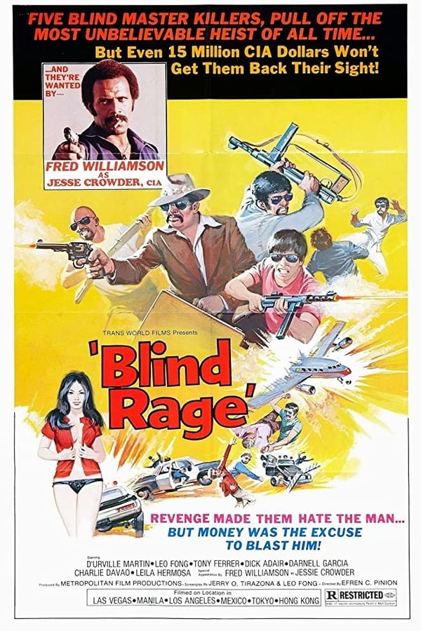 Cover of the movie Blind Rage