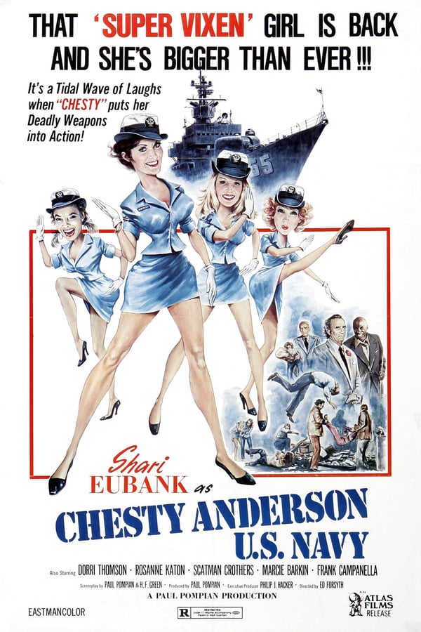 Cover of the movie Chesty Anderson U.S. Navy