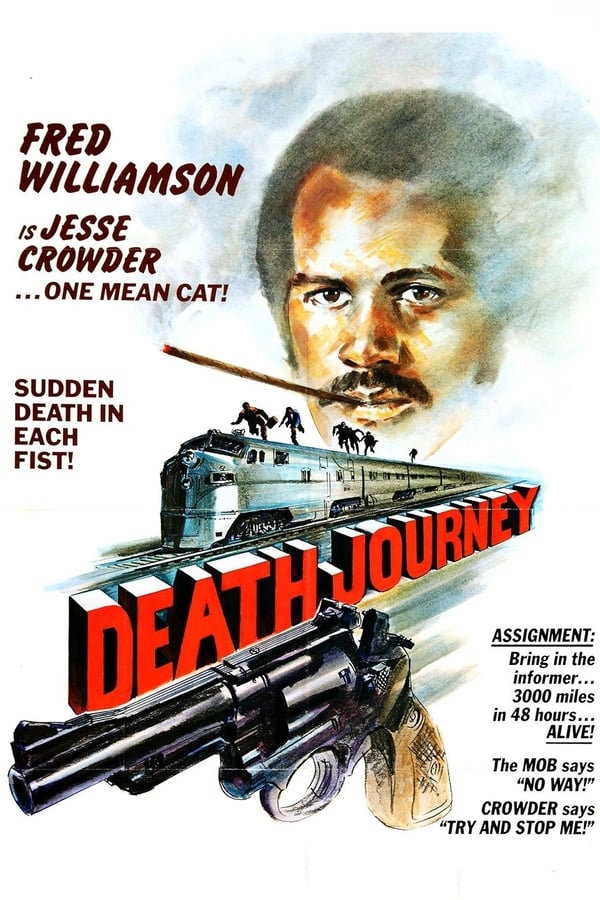 Cover of the movie Death Journey