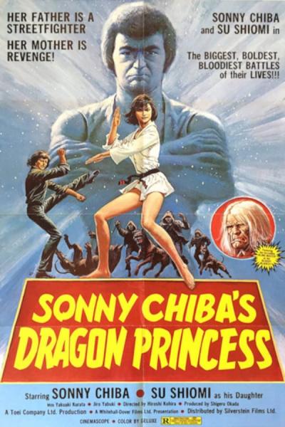 Cover of the movie Dragon Princess