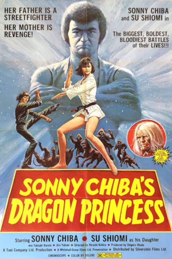 Cover of the movie Dragon Princess