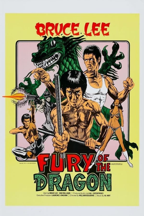 Cover of the movie Fury of the Dragon