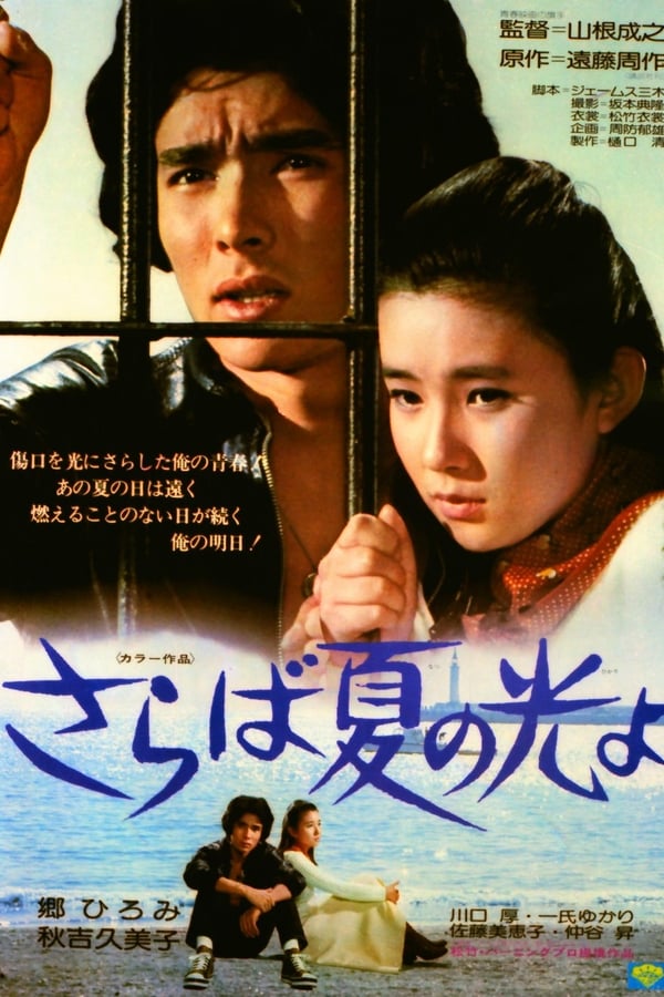 Cover of the movie Light and Shade of Youth