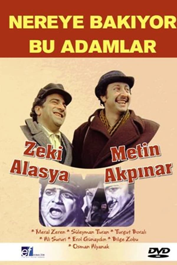 Cover of the movie Nereye Bakıyor Bu Adamlar