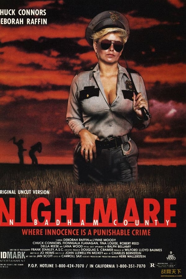 Cover of the movie Nightmare in Badham County