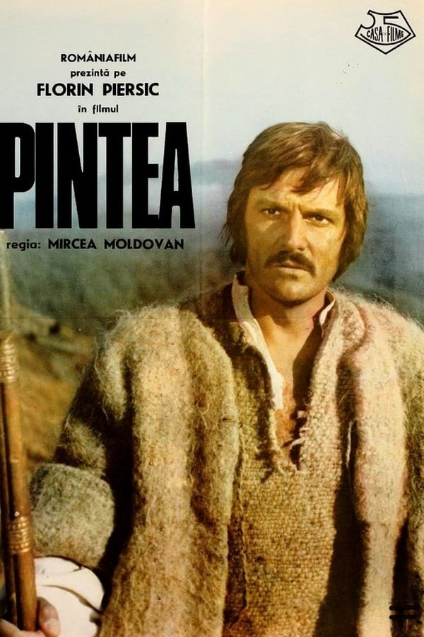 Cover of the movie Pintea