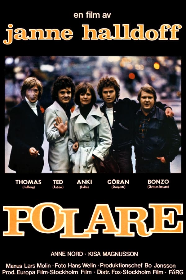 Cover of the movie Polare
