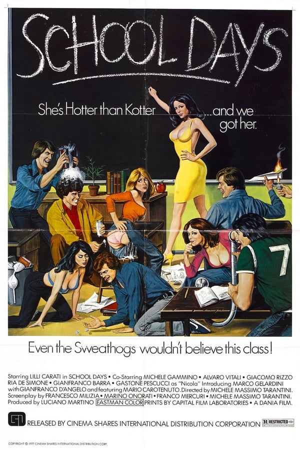 Cover of the movie School Days
