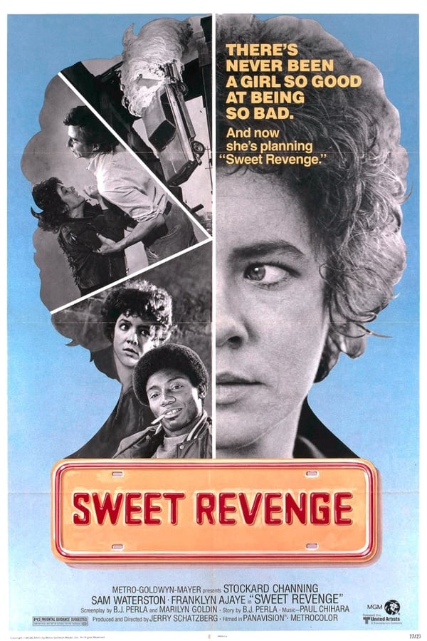 Cover of the movie Sweet Revenge