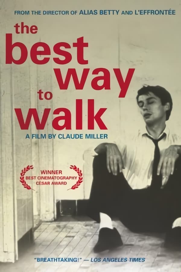 Cover of the movie The Best Way to Walk