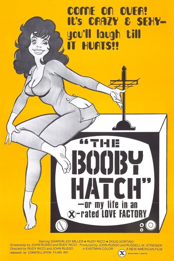 Cover of the movie The Booby Hatch