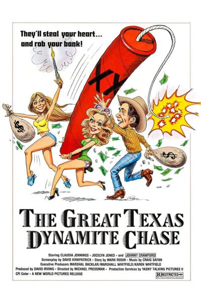 Cover of the movie The Great Texas Dynamite Chase