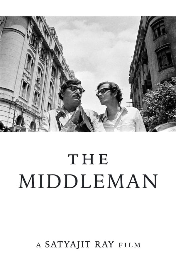 Cover of the movie The Middleman