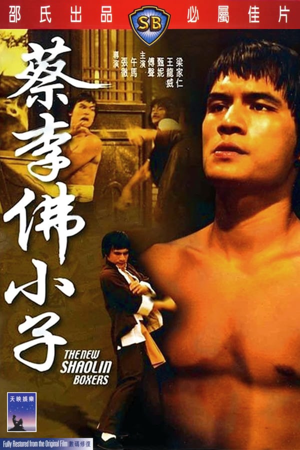 Cover of the movie The New Shaolin Boxers