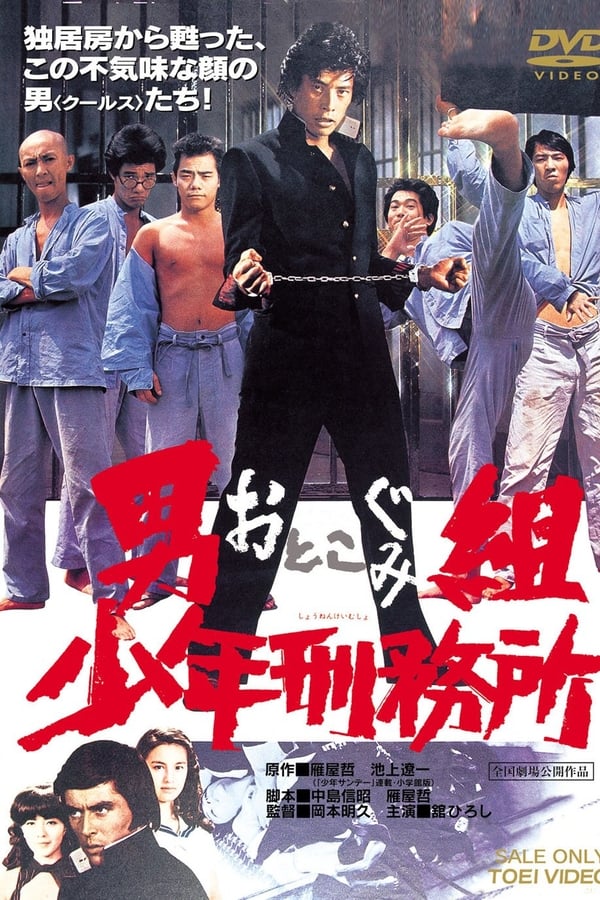 Cover of the movie The School of Chaos
