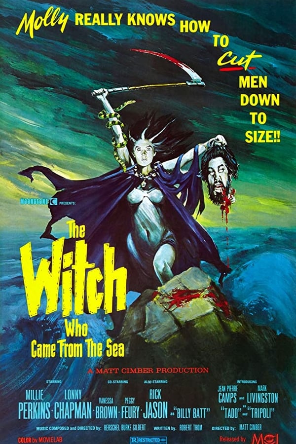 Cover of the movie The Witch Who Came from the Sea
