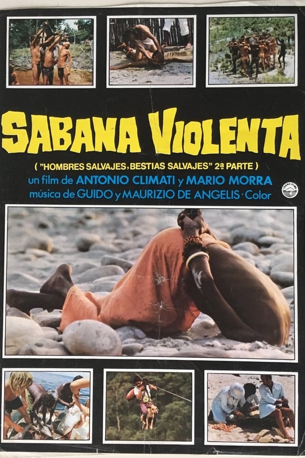 Cover of the movie This Violent World