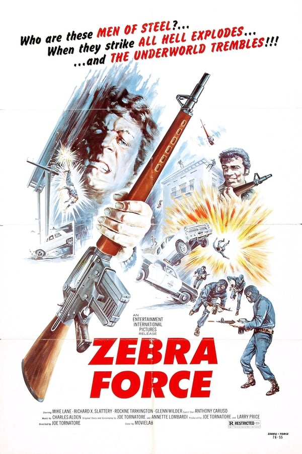 Cover of the movie Zebra Force
