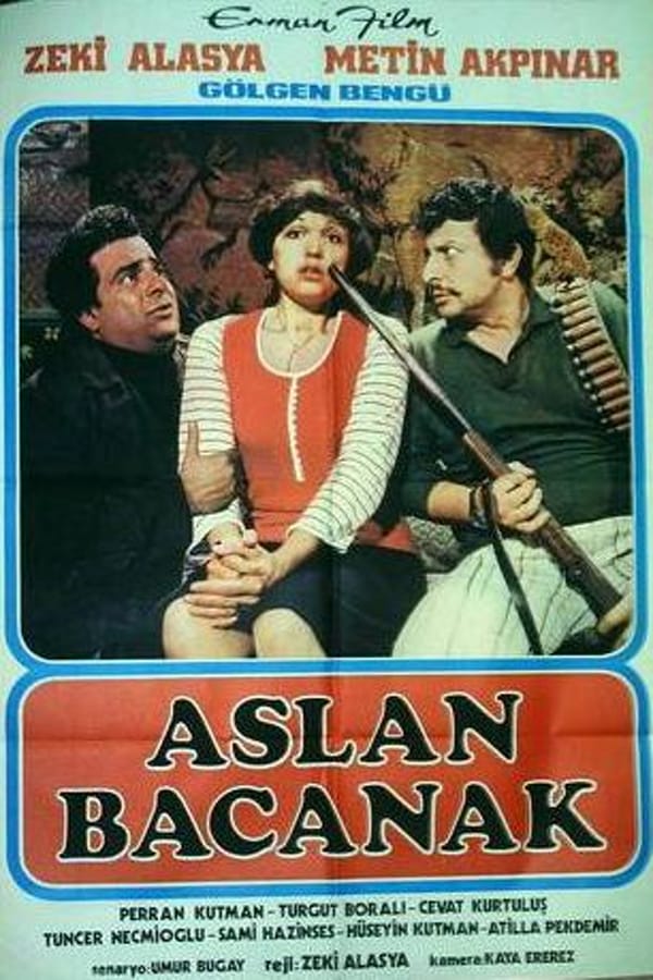 Cover of the movie Aslan Bacanak
