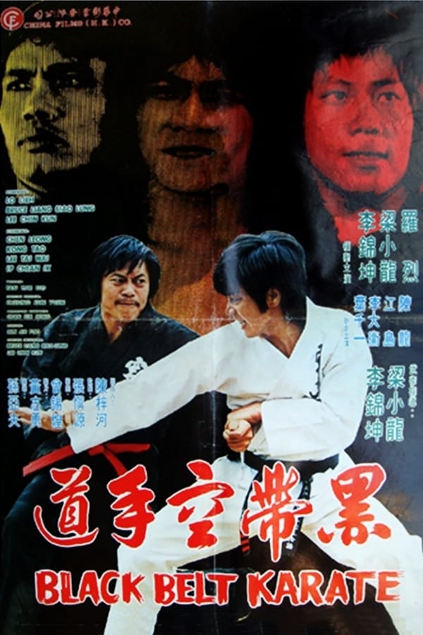 Cover of the movie Black Belt Karate