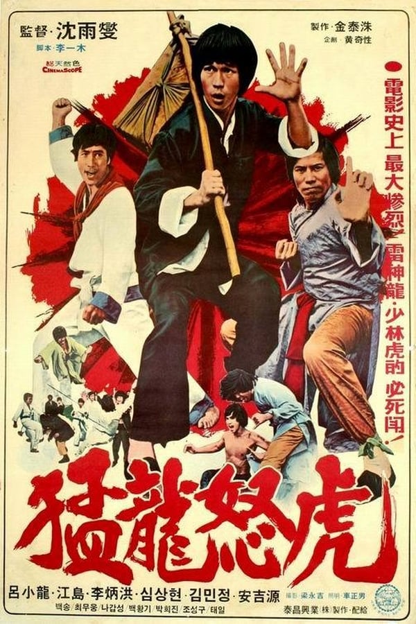 Cover of the movie Bruce and Dragon Fist