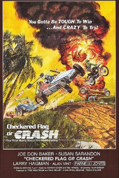 Cover of the movie Checkered Flag or Crash