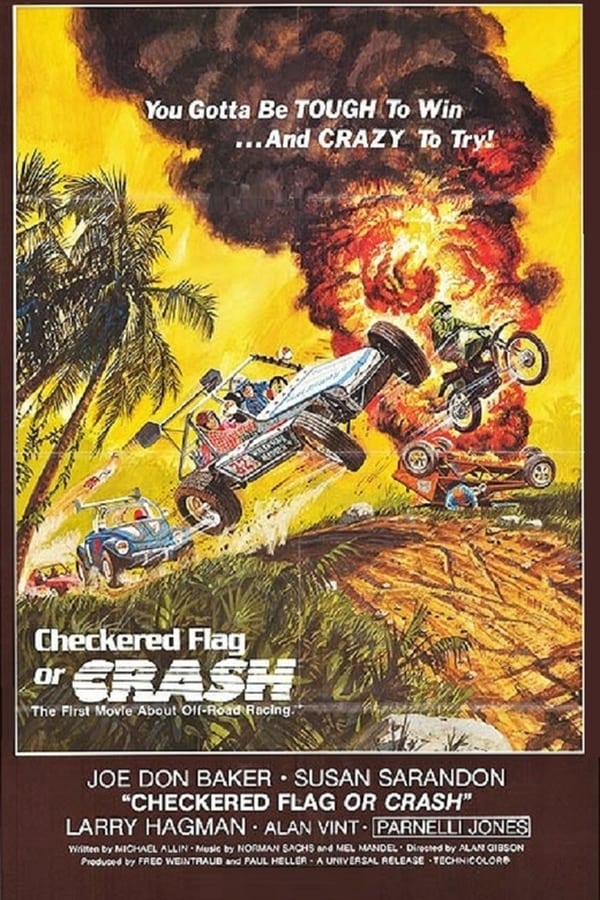 Cover of the movie Checkered Flag or Crash
