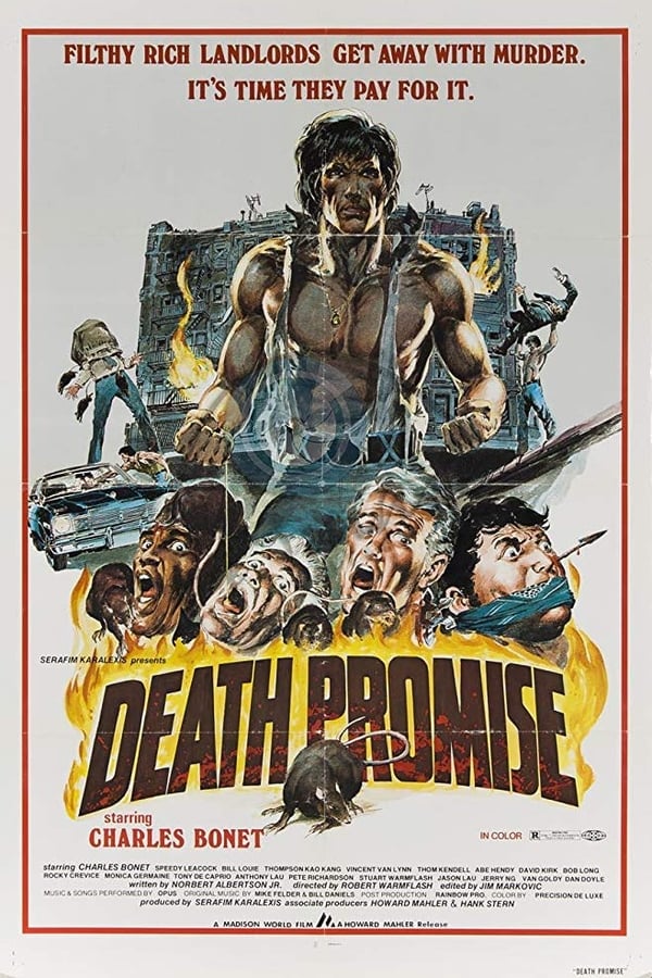 Cover of the movie Death Promise