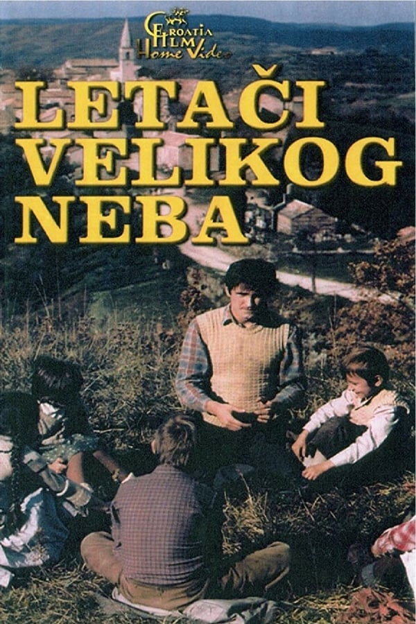 Cover of the movie Fliers of the Open Skies