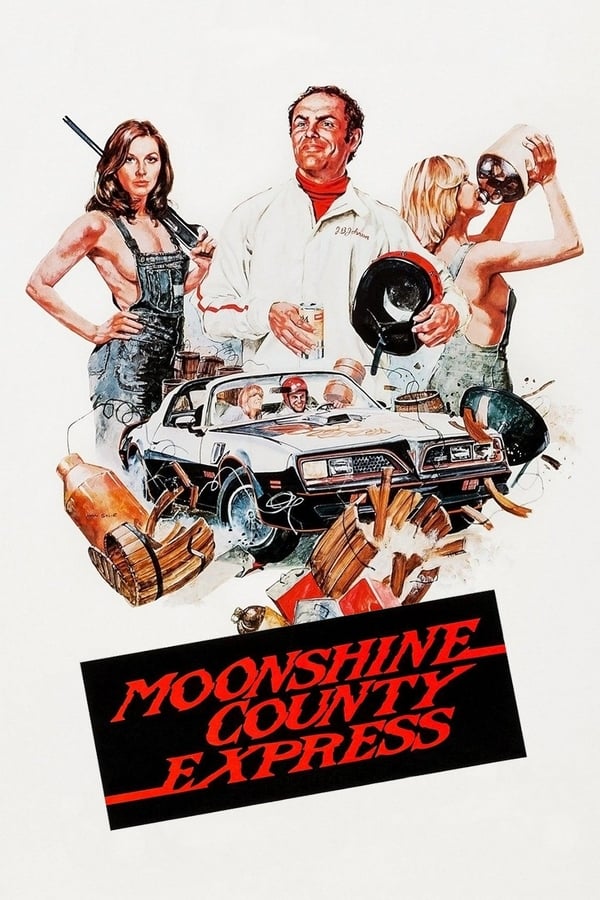 Cover of the movie Moonshine County Express