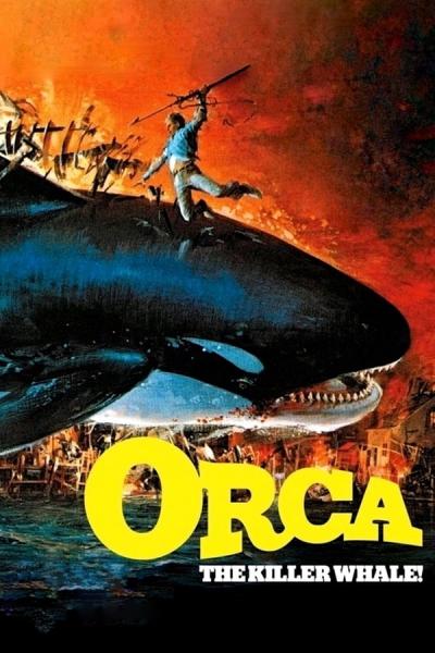 Cover of Orca: The Killer Whale