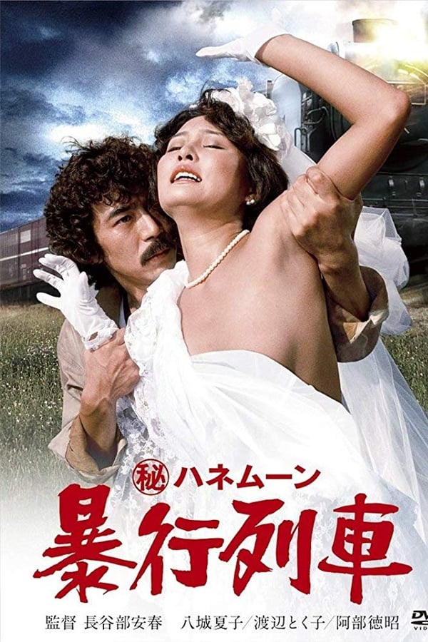 Cover of the movie Secret Honeymoon: Assault Train