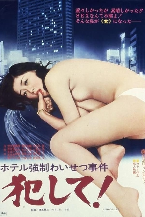 Cover of the movie Sexual Assault at a Hotel