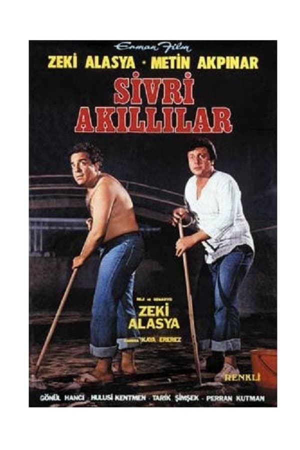Cover of the movie Sivri Akıllılar