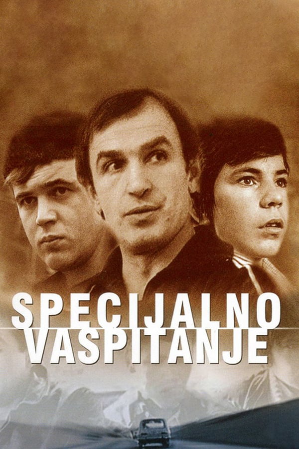 Cover of the movie Special Education