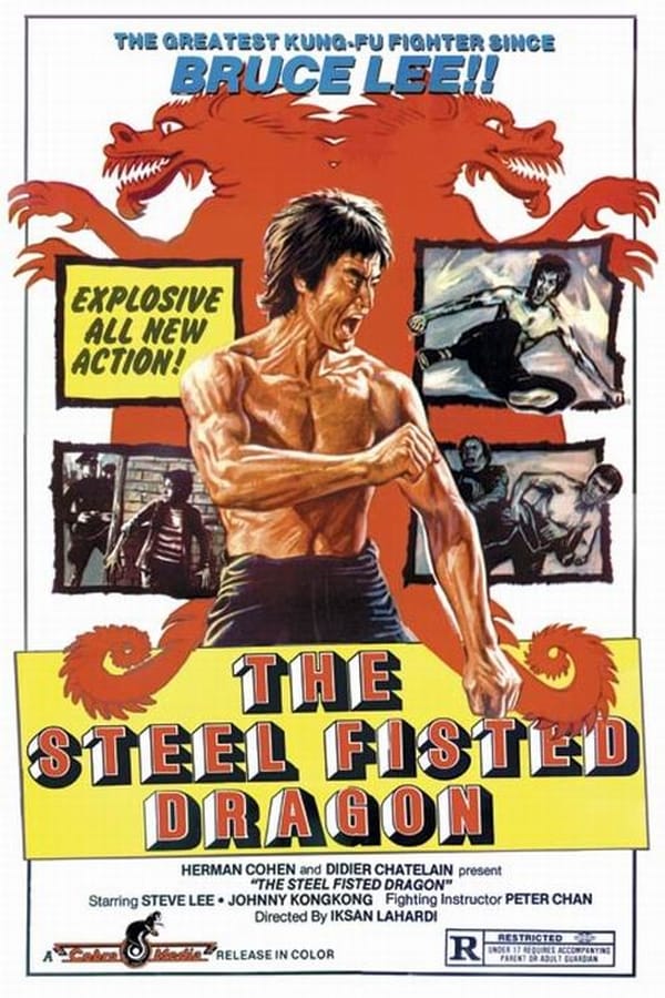 Cover of the movie The Steel Fisted Dragon