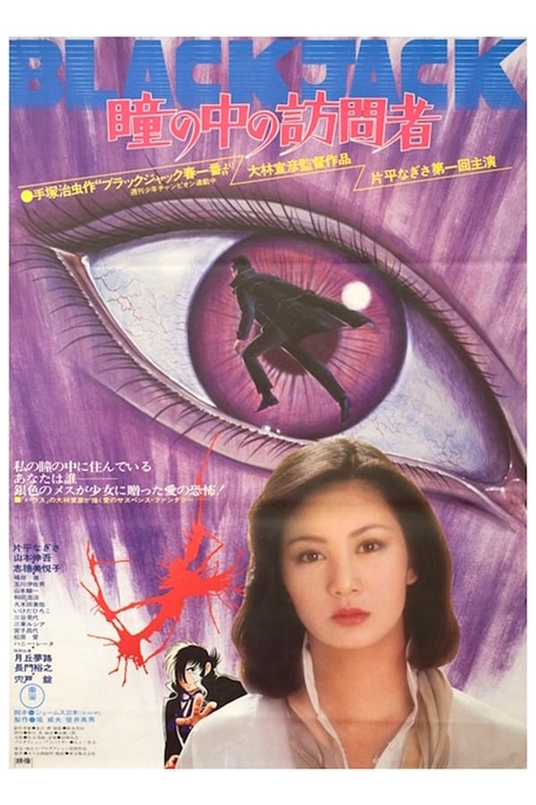 Cover of the movie The Visitor in the Eye