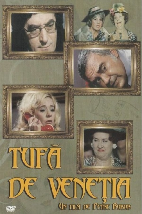 Cover of the movie Tufă de Veneția