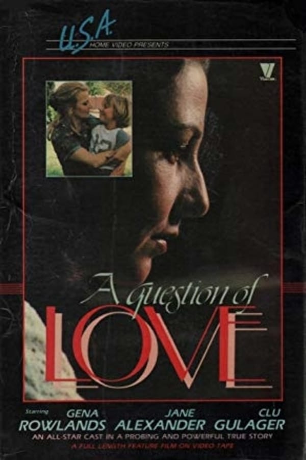 Cover of the movie A Question of Love