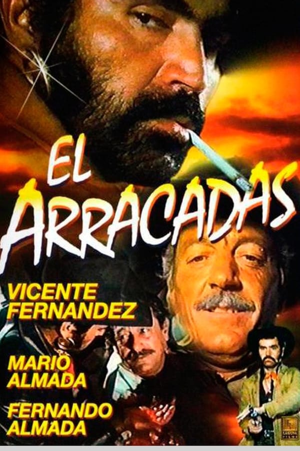 Cover of the movie El arracadas