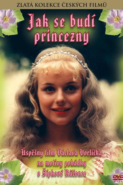 Cover of How to Wake a Princess